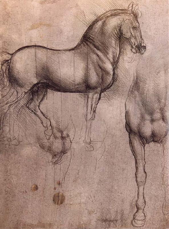 LEONARDO da Vinci Studies of horses